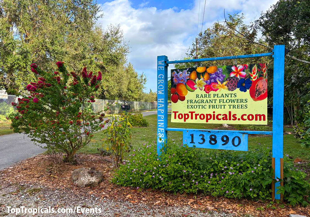 Top Tropicals Holiday Market