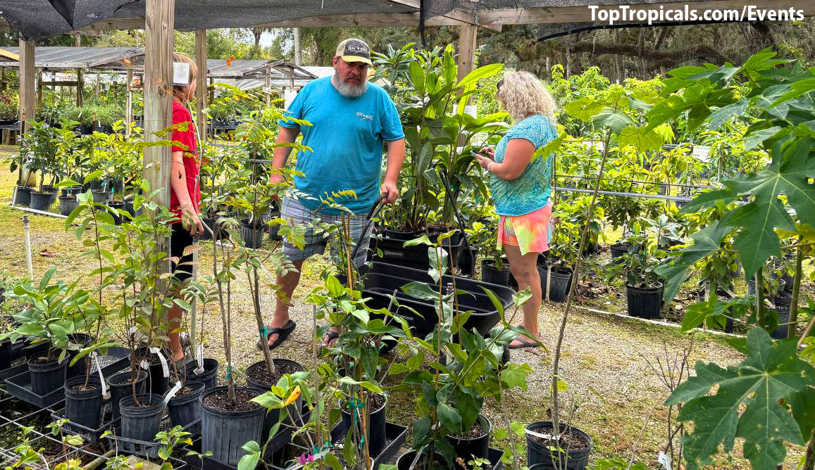 Top Tropicals Holiday Market