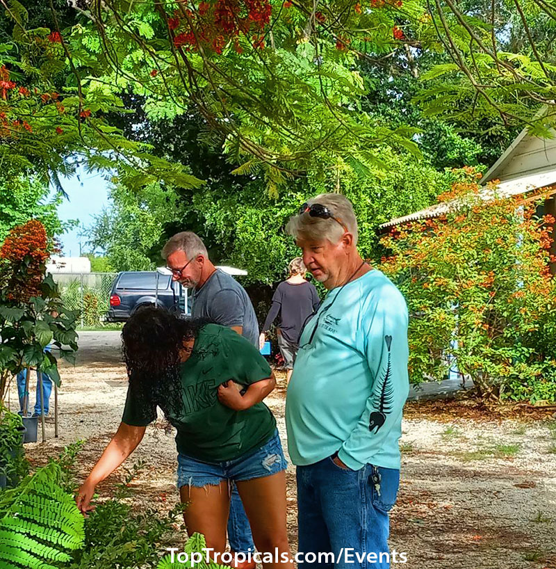 Top Tropicals Summer Plant Market Extravaganza