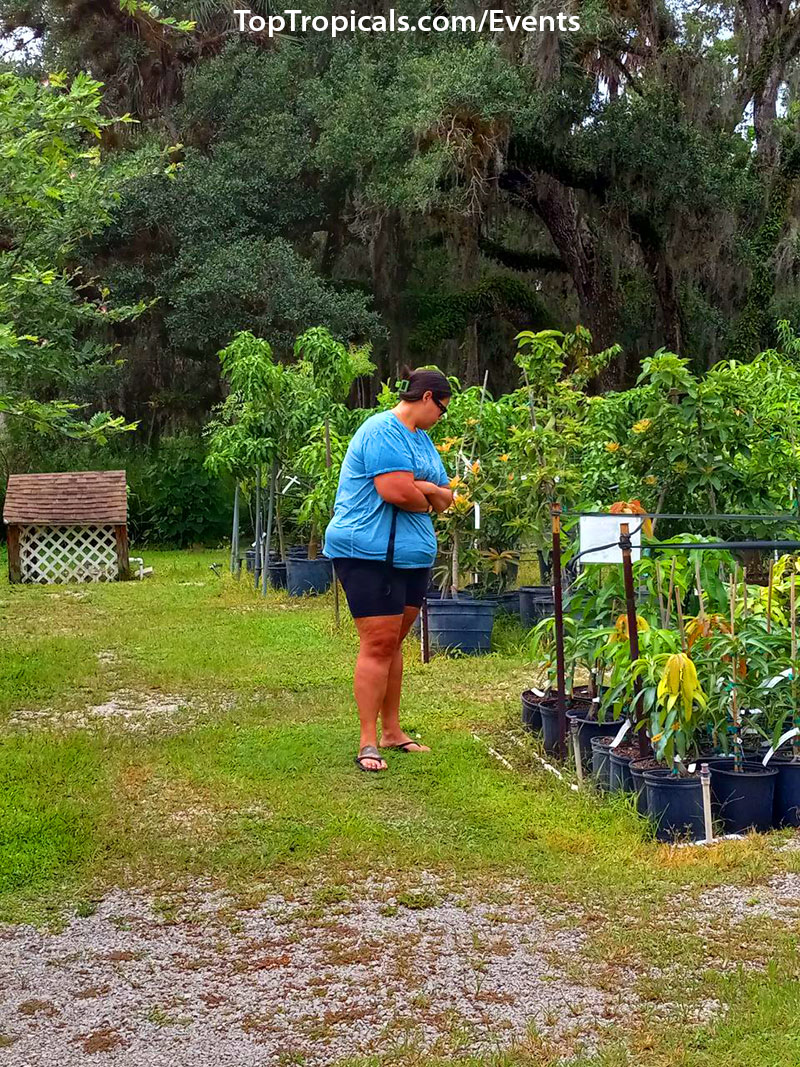 Top Tropicals Summer Plant Market Extravaganza