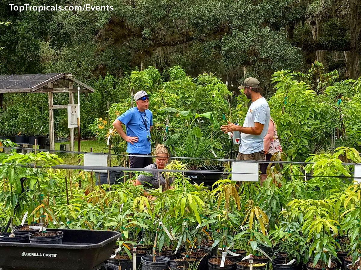 Top Tropicals Summer Plant Market Extravaganza